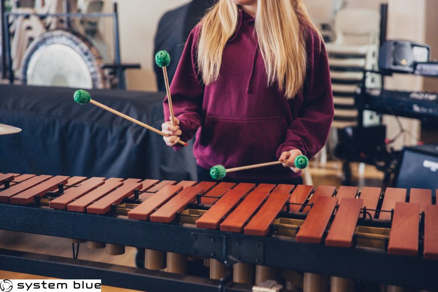 Kidsgrove Scouts March 13th Music Camp Photos